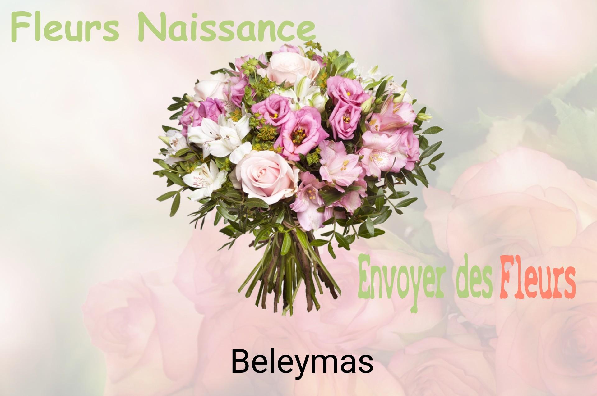 Bouquet de fleurs de naissance livré à Beleymas